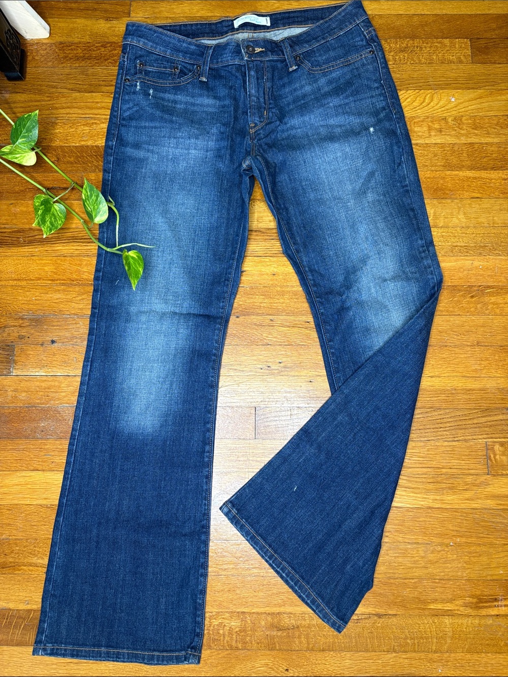 Signature by Levi Strauss Dark Blue Flared Jeans